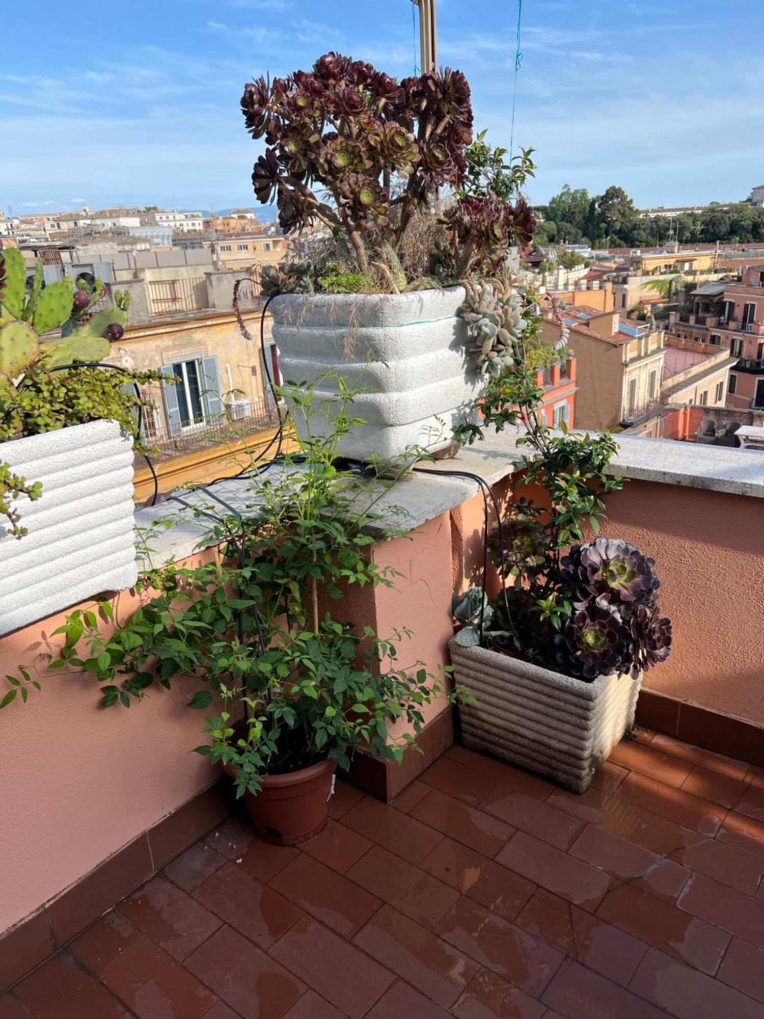 Spanish Steps Rome View Extérieur photo